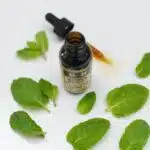bottle surrounded green leaves