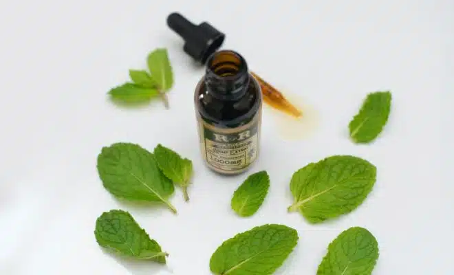 bottle surrounded green leaves