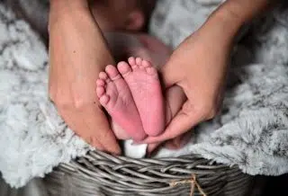 bébé