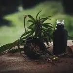 cbd