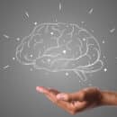 Comment la neuro-science peut-elle vous aider dans votre vie quotidienne ?