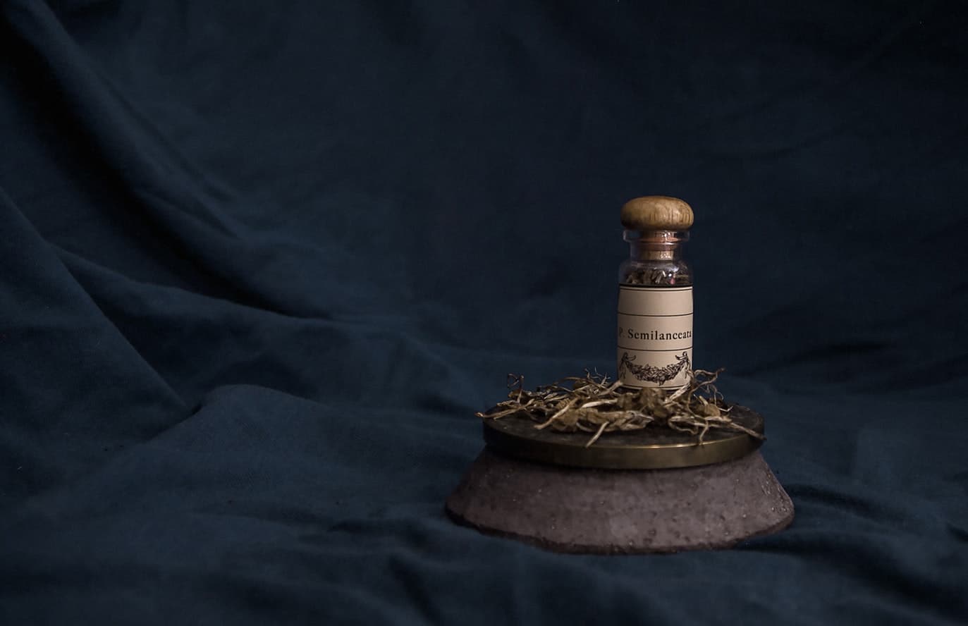 homeopathie